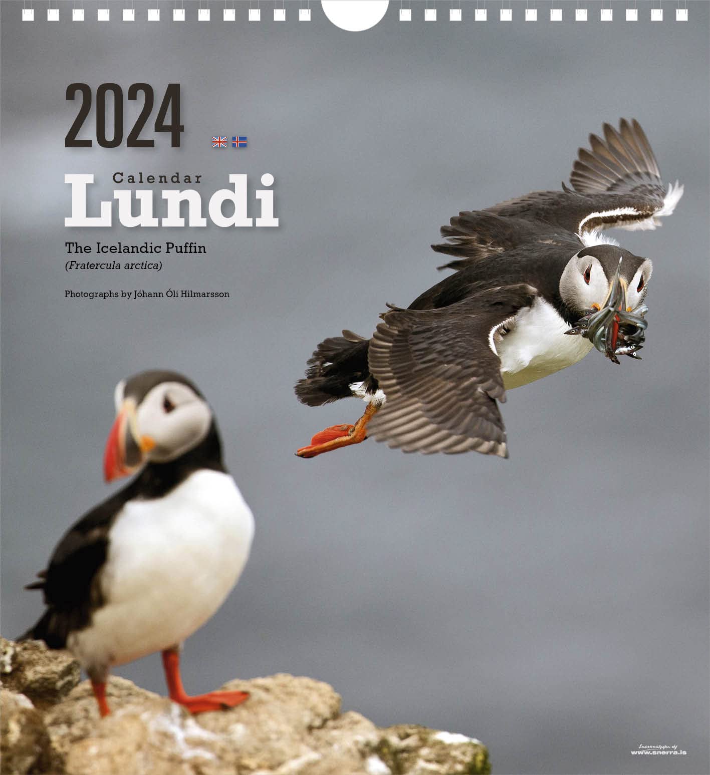 アイスランド購入】パフィンのキャンドルオブジェ Amazon.co.jp アイスランド購入】パフィンのキャンドルオブジェ Amazon.co.jp